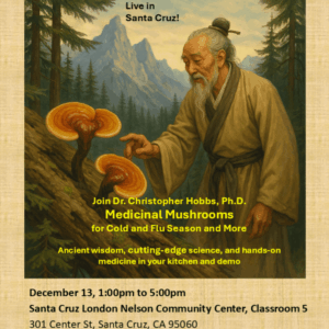 Medicinal Mushrooms for Cold and Flu Season