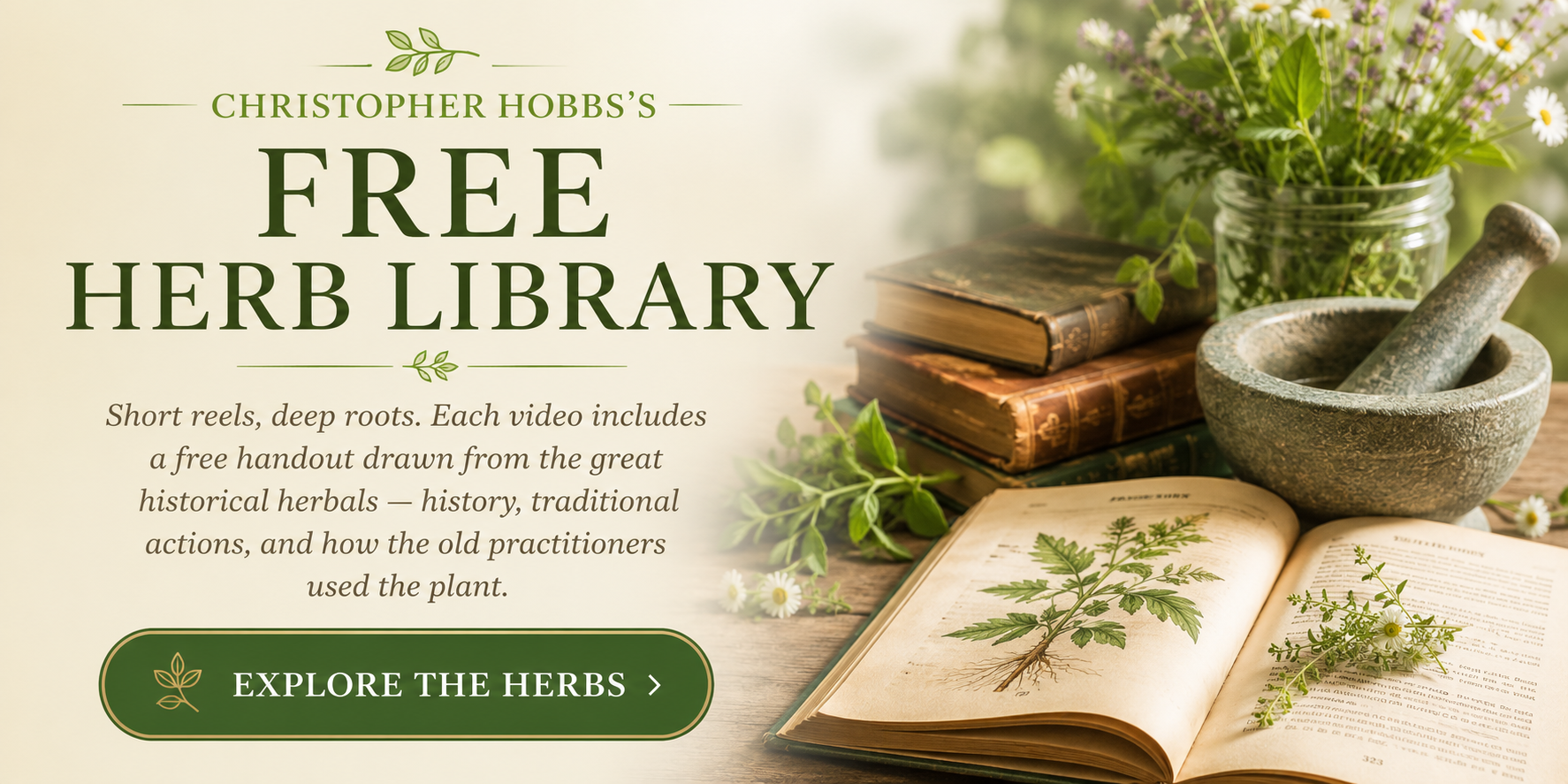 Christopher Hobbs Free Herb Library — historical monographs and free herb handouts